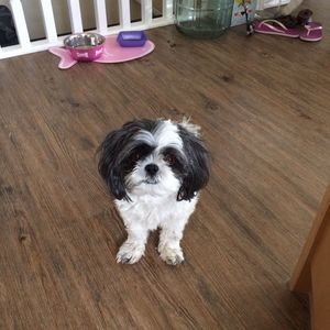 Meet your Posher, Debbie